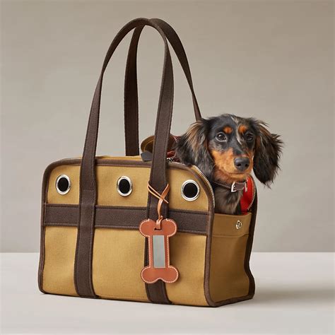 hermes pet accessories